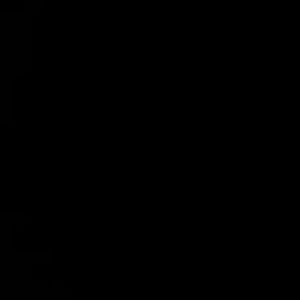 Meet your Posher, Janna